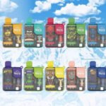 BANG BOX 9000Puffs｜炫彩機身｜拋棄式霧化棒｜LED數據顯示