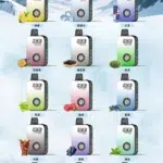 ICE FREEZE 10000口拋棄式電子煙｜冰度自訂｜四段涼感切換